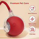 Bola Interativa Inteligente com LED para Gatos e Cães – Recarregável USB com Movimento 360°