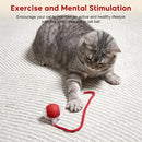 Bola Interativa Inteligente com LED para Gatos e Cães – Recarregável USB com Movimento 360°