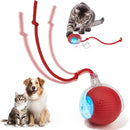 Bola Interativa Inteligente com LED para Gatos e Cães – Recarregável USB com Movimento 360°