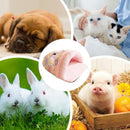 Cama Pet Cozy Cave Dobrável – Ninho Aconchegante para Cães e Gatos