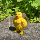 Estátua Muscle Duck 3D – O Detalhe Irreverente Que Arranca Sorrisos e Olhares